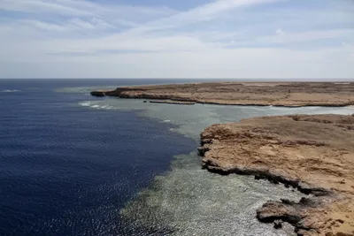 Red Sea liveaboard season guide &ndash; coral reef at Ras Mohammed