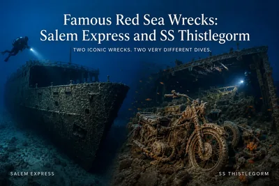 Famous Red Sea wreck dives – SS Thistlegorm and Salem Express